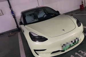 Model 3 特斯拉 改款 標準續(xù)航后驅(qū)升級版