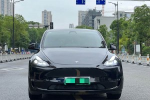 Model Y 特斯拉 標準續(xù)航后驅(qū)版