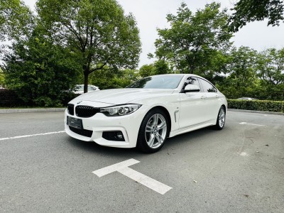 2019年2月 宝马 宝马4系(进口) 425i Gran Coupe M运动套装图片