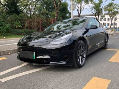 2020年7月 特斯拉 Model 3 標(biāo)準(zhǔn)續(xù)航后驅(qū)升級版圖片