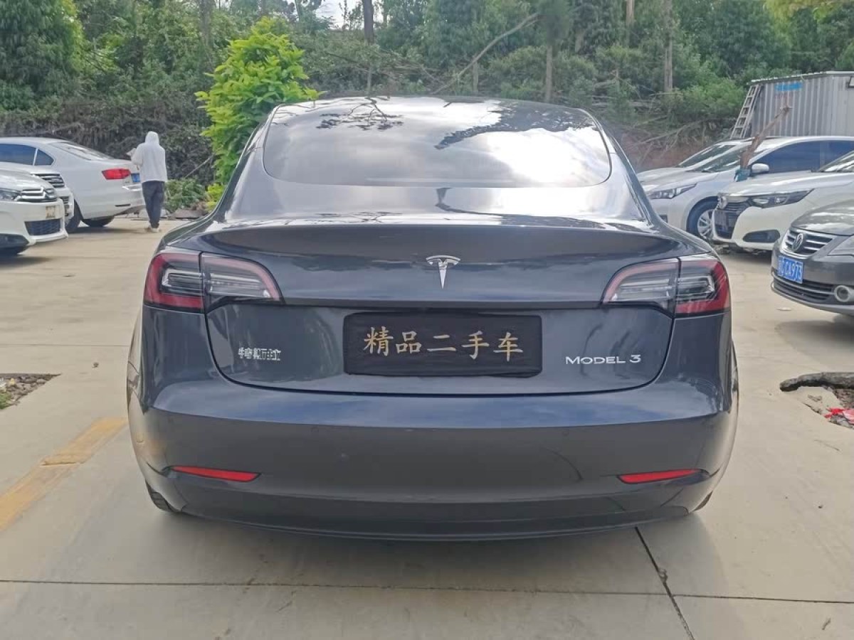 特斯拉 Model 3  2020款 改款 標準續(xù)航后驅(qū)升級版圖片