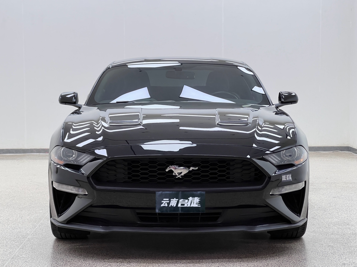 福特 Mustang  2019款 2.3L EcoBoost圖片