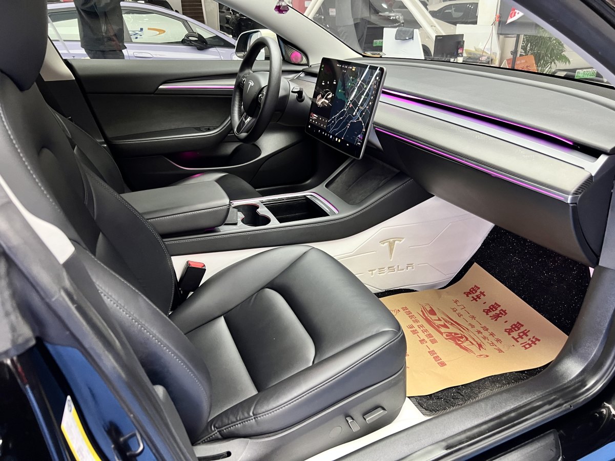 特斯拉 Model 3  2019款 標(biāo)準(zhǔn)續(xù)航后驅(qū)升級版圖片