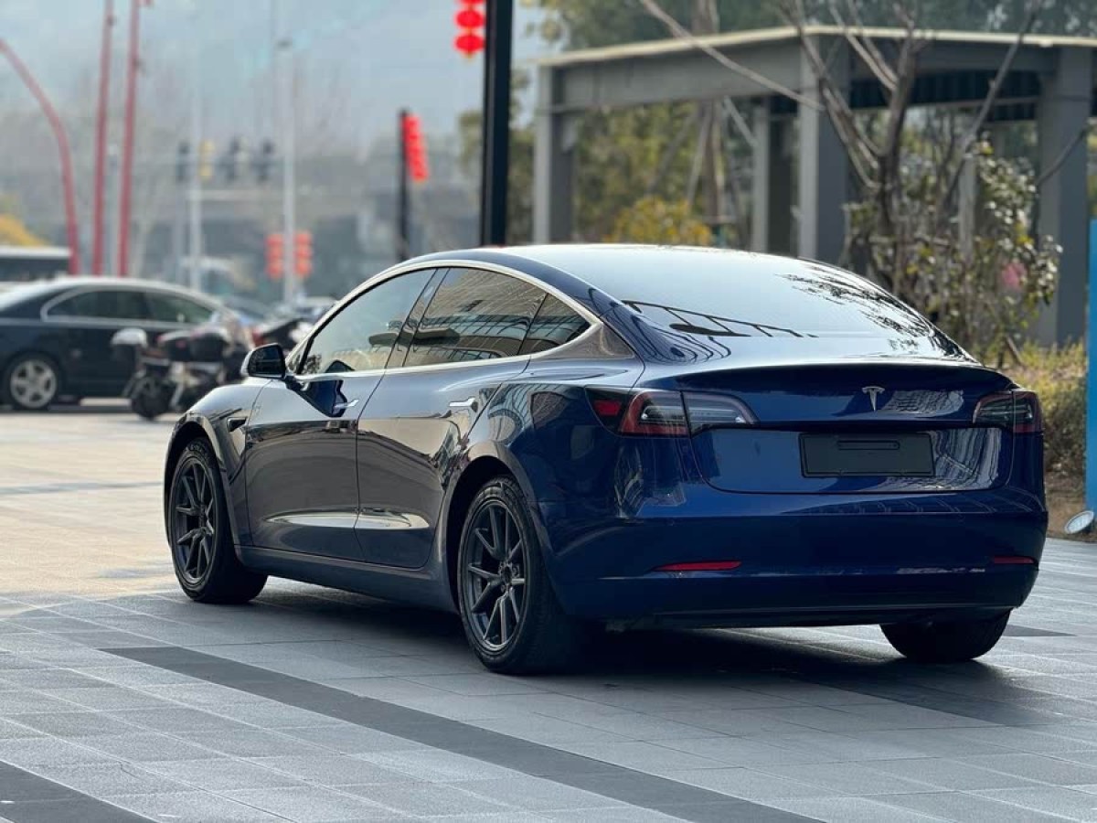 特斯拉 Model 3  2020款 改款 標(biāo)準(zhǔn)續(xù)航后驅(qū)升級版圖片