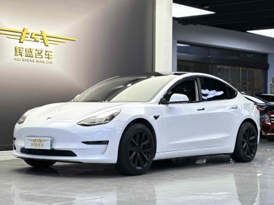 2019年5月 特斯拉 Model 3 長(zhǎng)續(xù)航后驅(qū)版圖片