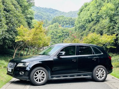 2015年4月 奥迪 奥迪Q5 40 TFSI 进取型图片