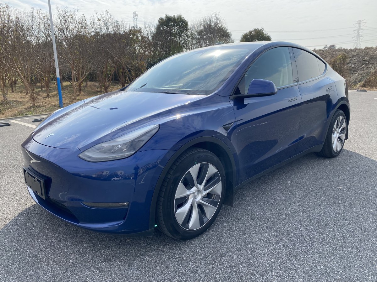 特斯拉 Model 3  2023款 長續(xù)航煥新版 雙電機全輪驅(qū)動圖片