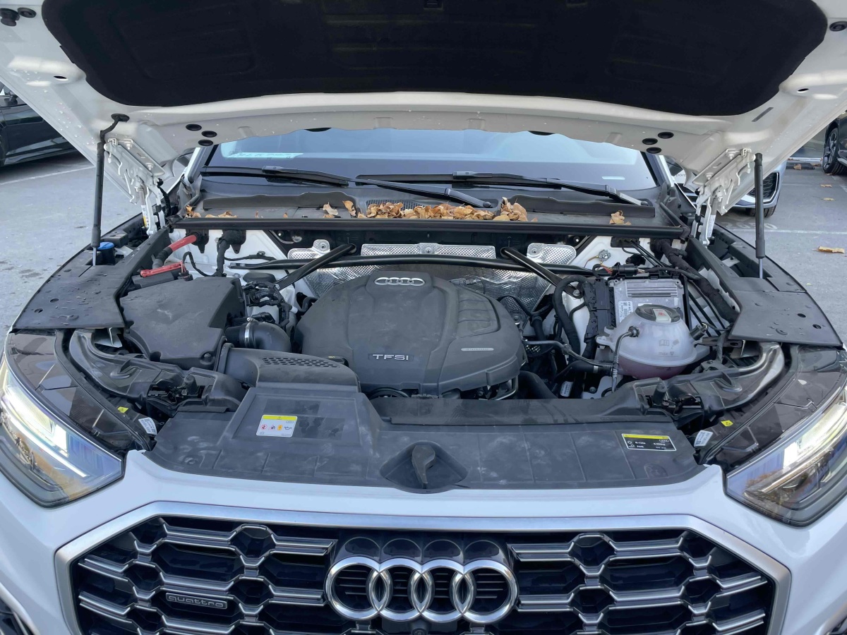 奧迪 奧迪Q5L  2021款 40 TFSI 豪華動感型圖片