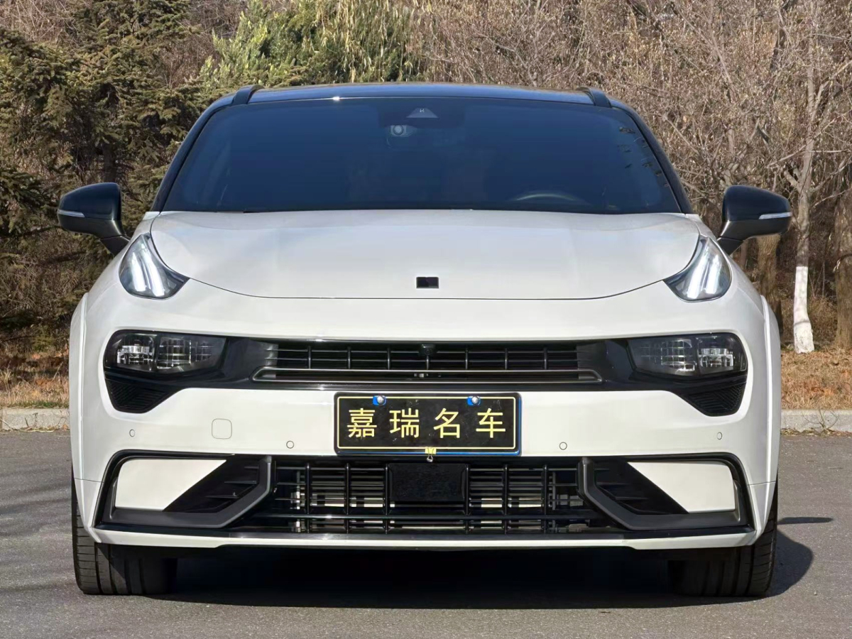 領(lǐng)克 領(lǐng)克02 Hatchback  2022款 2.0TD Pro圖片