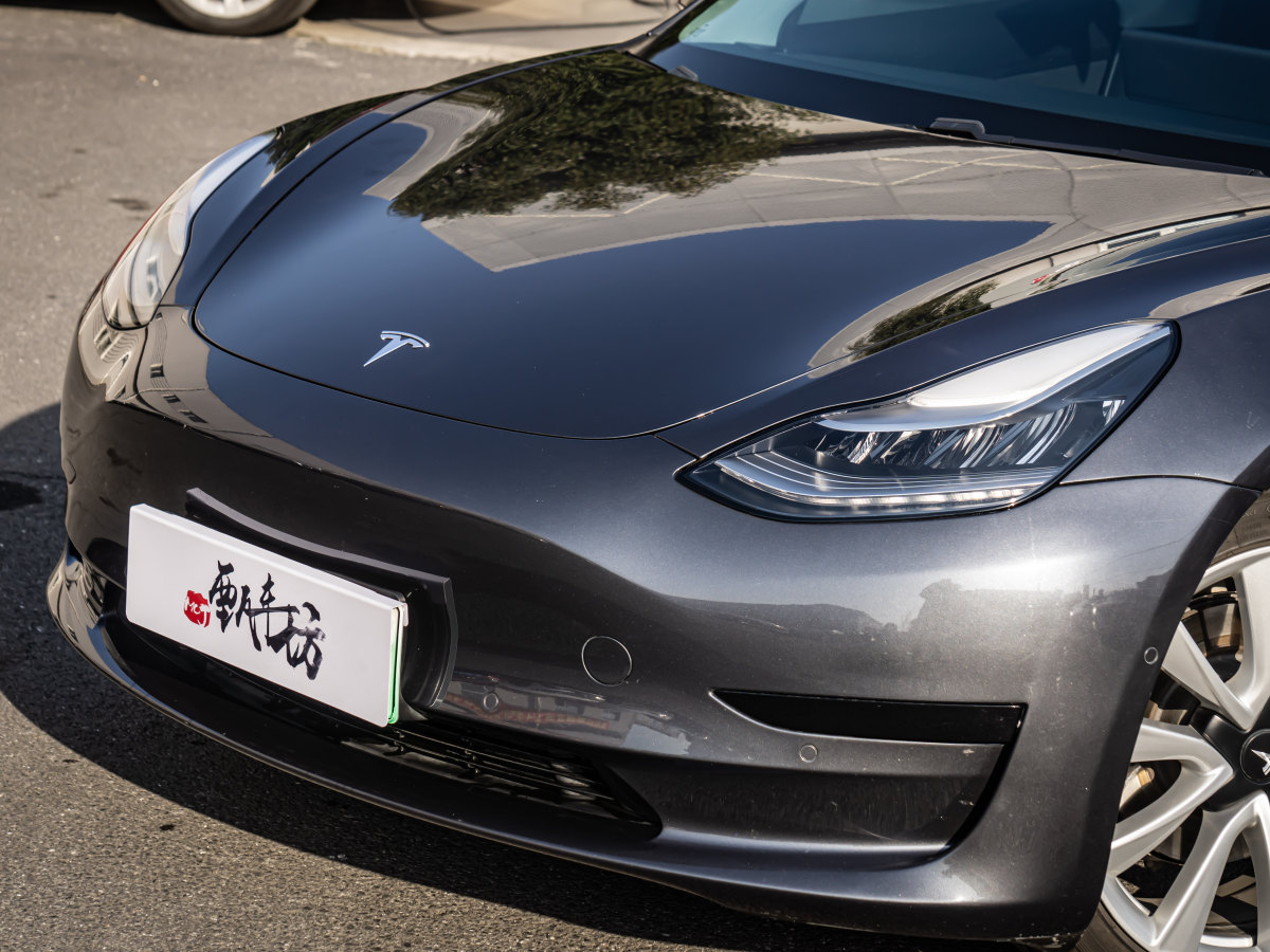 特斯拉 Model 3  2019款 標準續(xù)航后驅(qū)升級版圖片