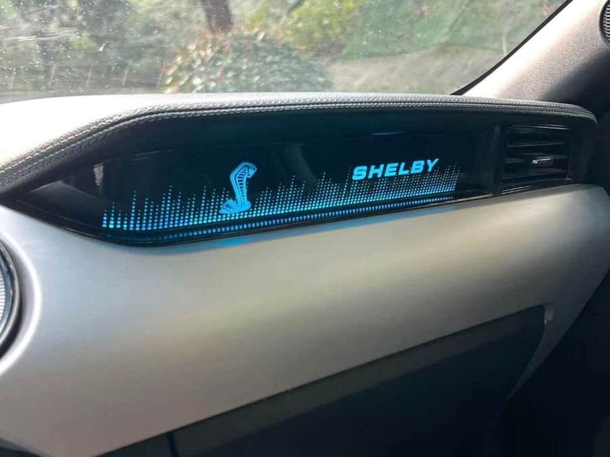 福特 Mustang  2015款 2.3T 性能版圖片