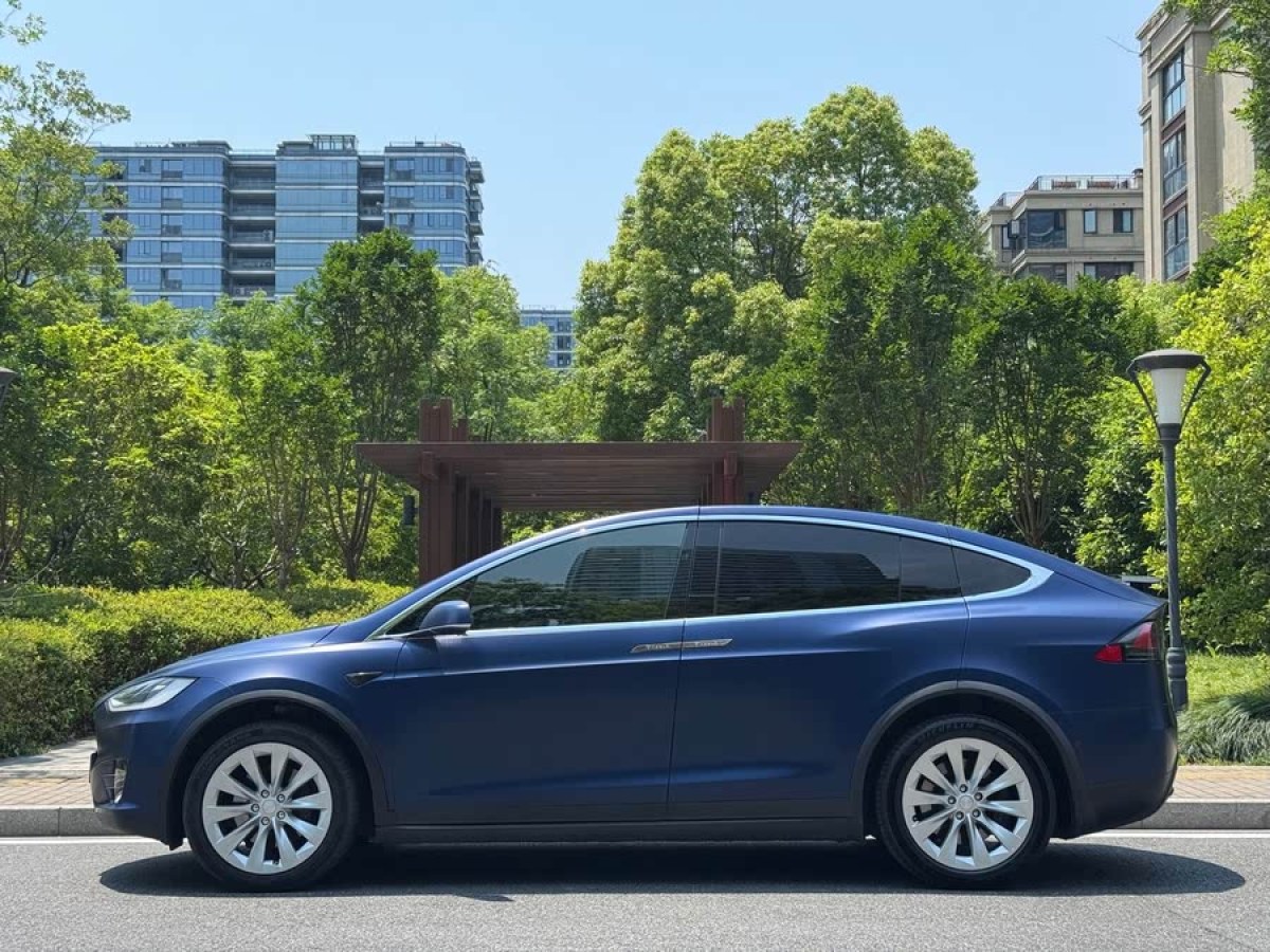 特斯拉 Model X  2017款 Model X 100D 長續(xù)航版圖片
