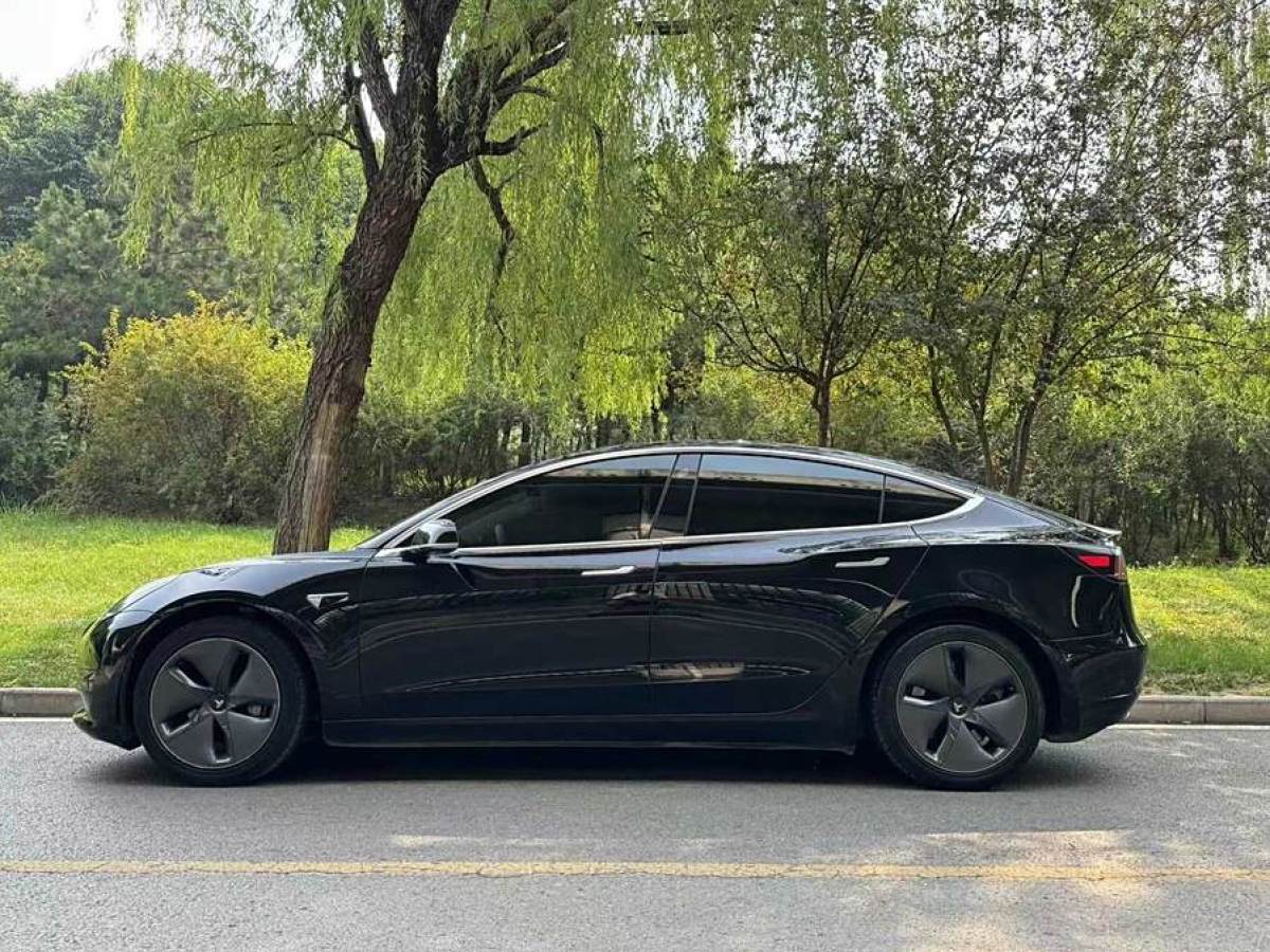 特斯拉 Model 3  2020款 改款 標(biāo)準(zhǔn)續(xù)航后驅(qū)升級(jí)版圖片