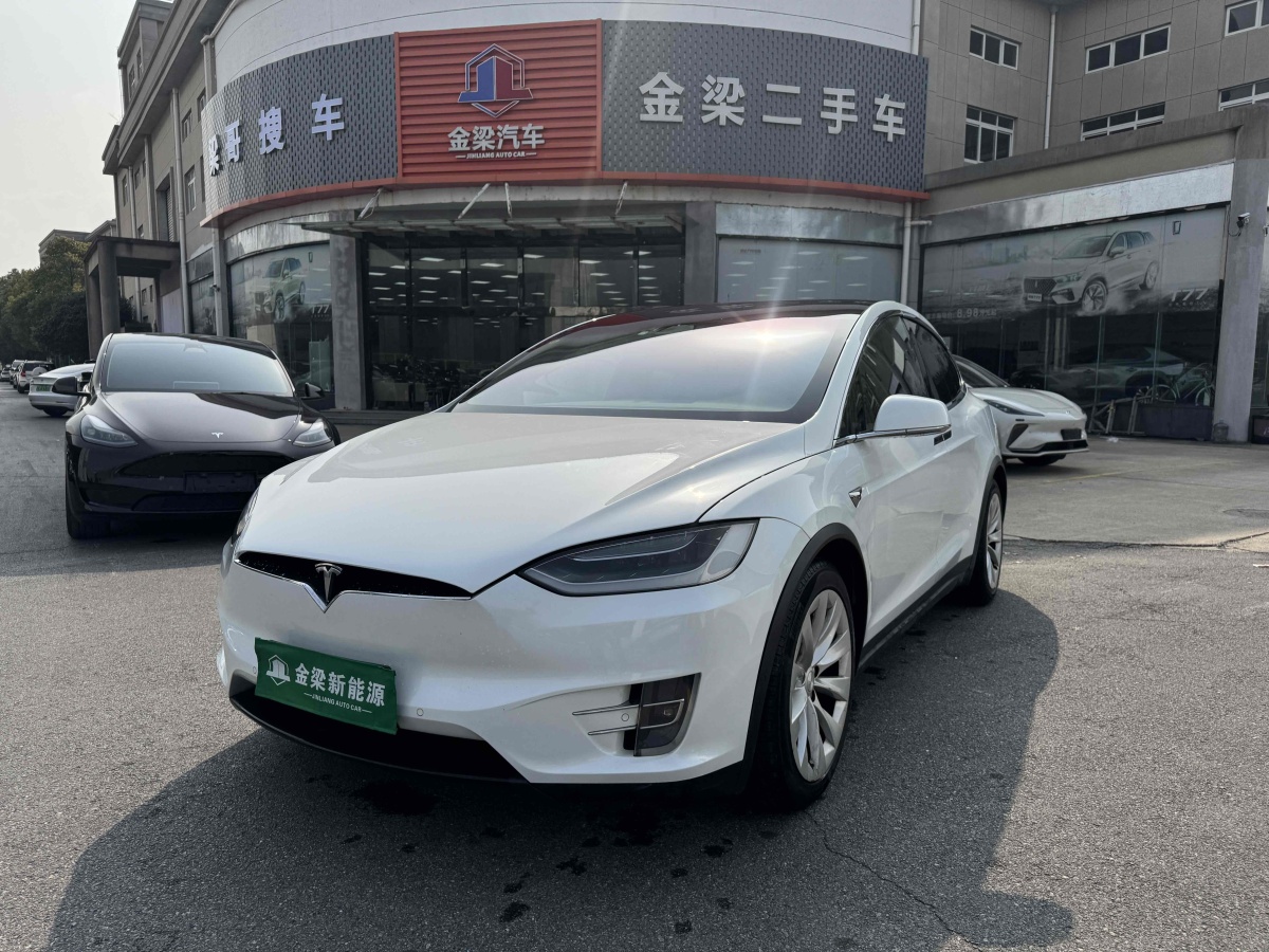 2019年4月特斯拉 Model X  2017款 Model X 100D 長(zhǎng)續(xù)航版