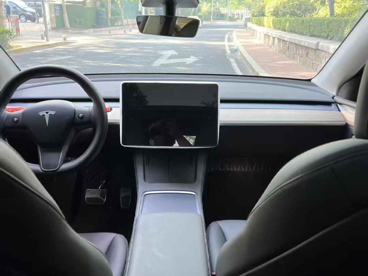 特斯拉 Model Y  2024款 Performance高性能版圖片