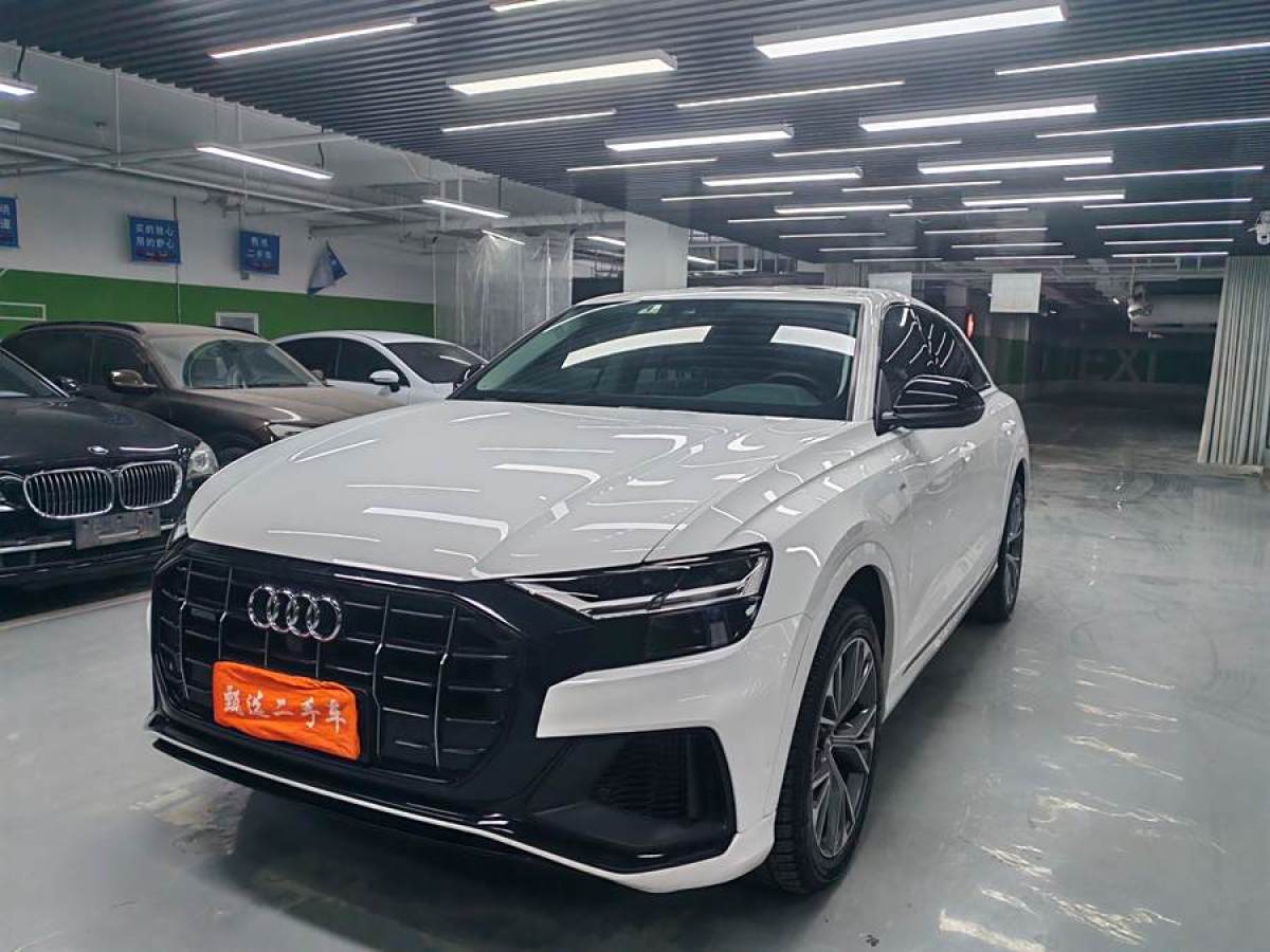 2023年3月奧迪 奧迪Q8  2023款 55 TFSI 尊享動(dòng)感型