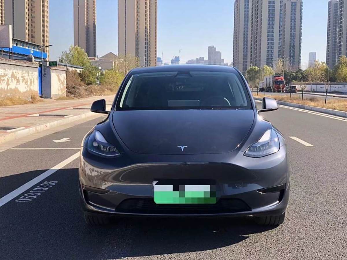 特斯拉 Model 3  2020款 改款 長續(xù)航后輪驅(qū)動版圖片