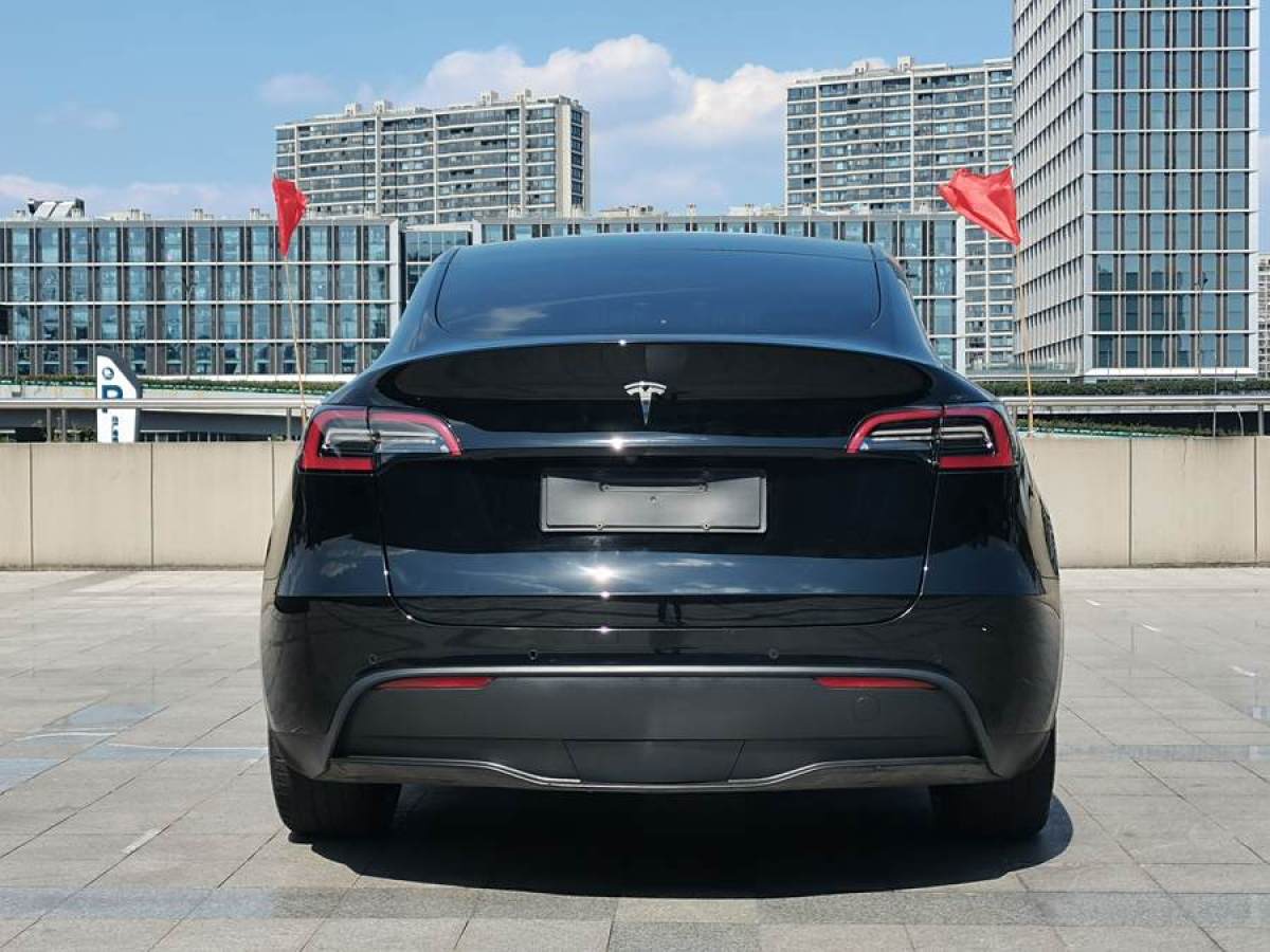 2022年3月特斯拉 Model Y  2022款 后輪驅(qū)動(dòng)版