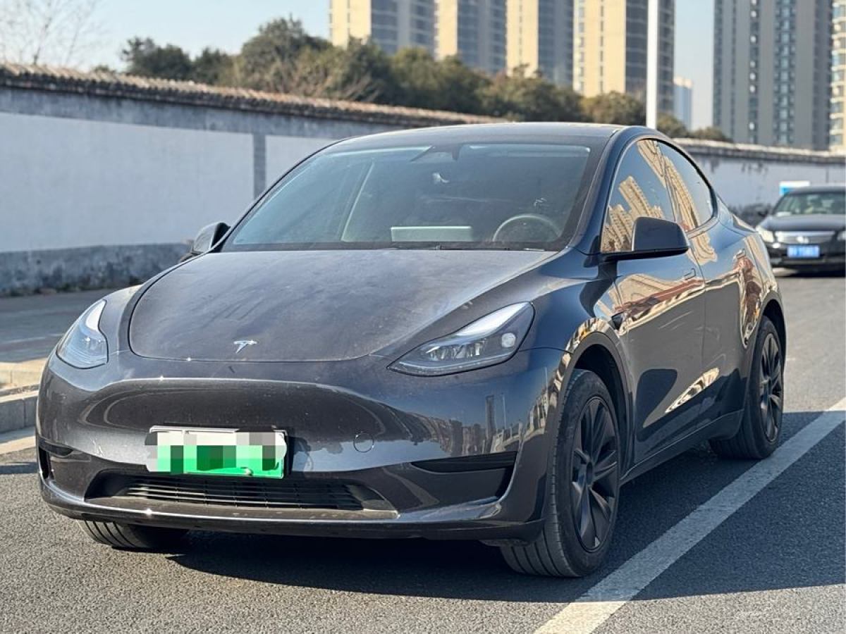 特斯拉 Model 3  2020款 改款 長續(xù)航后輪驅(qū)動版圖片