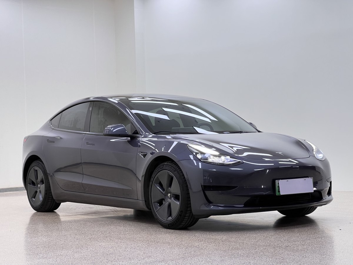 特斯拉 Model 3  2021款 標(biāo)準(zhǔn)續(xù)航后驅(qū)升級(jí)版 3D6圖片