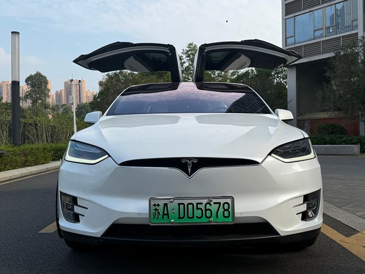 特斯拉 Model X  2017款 Model X 100D 長續(xù)航版圖片