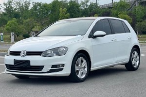 高爾夫 大眾 1.6L 自動(dòng)舒適型