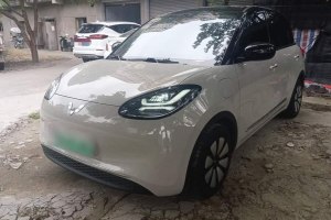 五菱繽果 五菱 333km 悅享+款