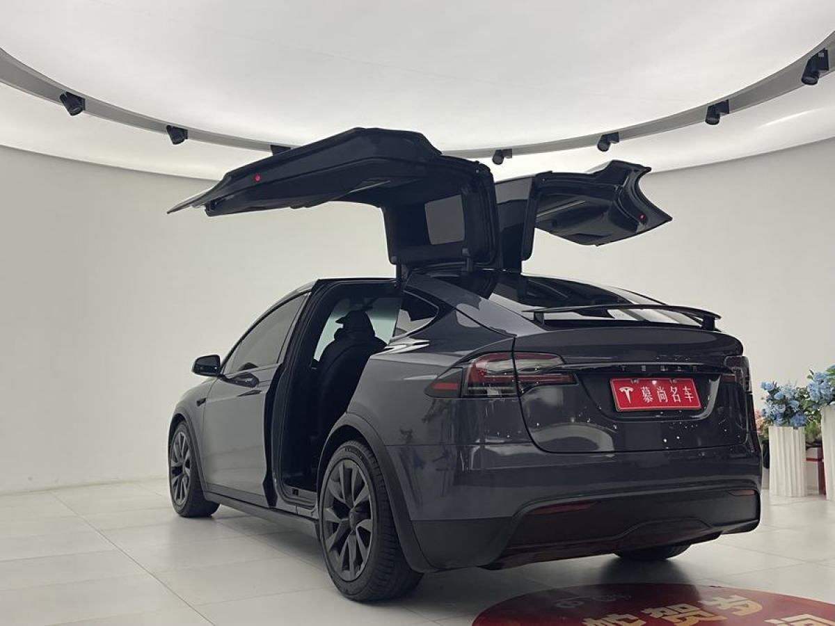 特斯拉 Model X  2023款 雙電機(jī)全輪驅(qū)動(dòng)版圖片