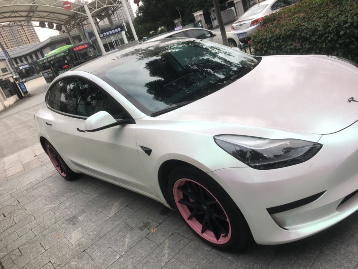 2022年6月特斯拉 Model 3  2022款 改款 后輪驅(qū)動版