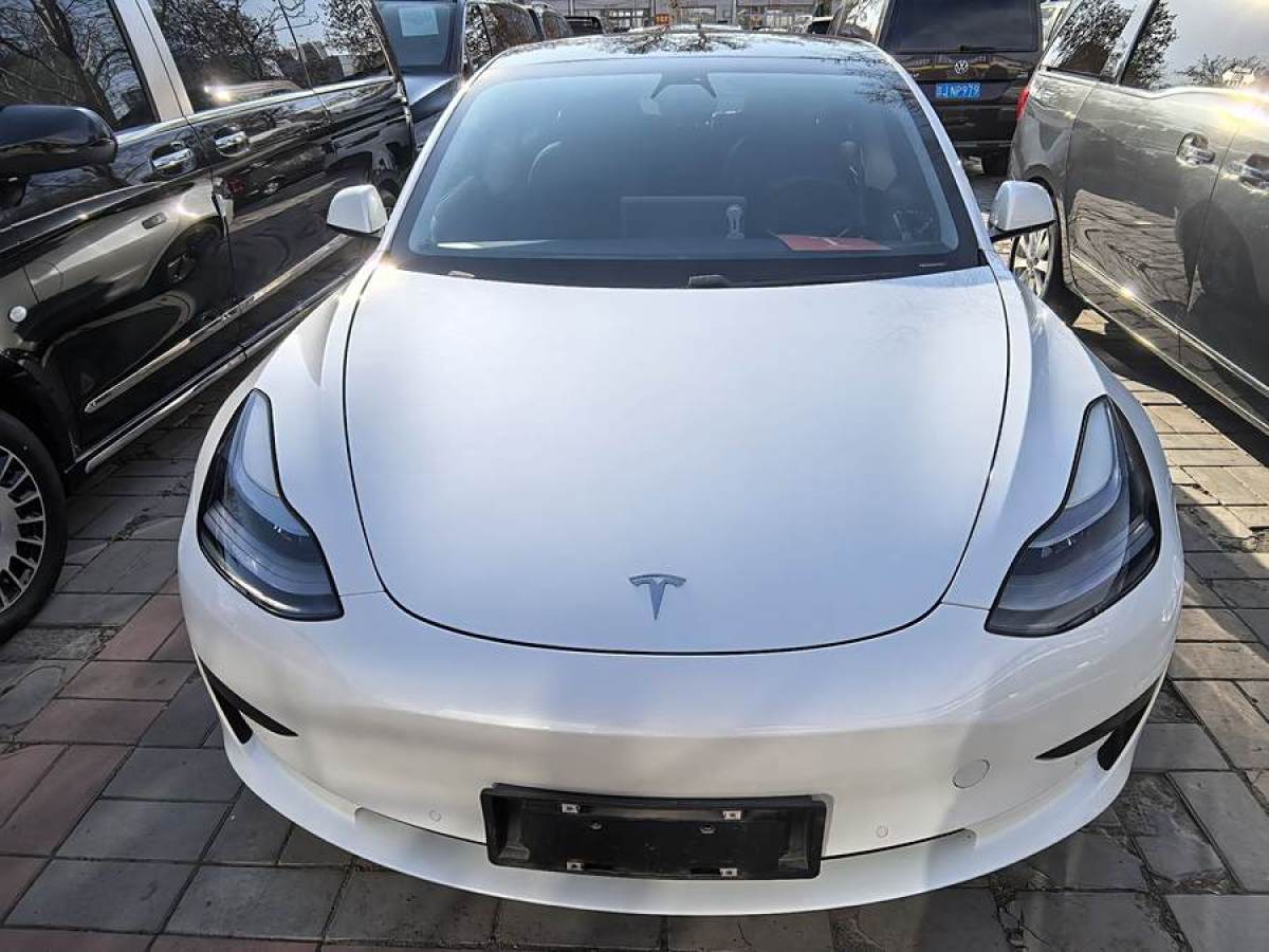 特斯拉 Model 3  2021款 改款 標(biāo)準(zhǔn)續(xù)航后驅(qū)升級版圖片