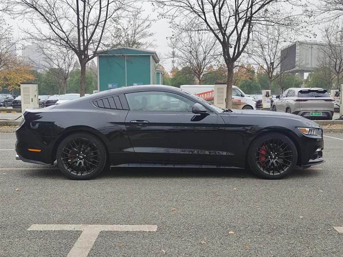 福特 Mustang  2015款 2.3T 性能版圖片