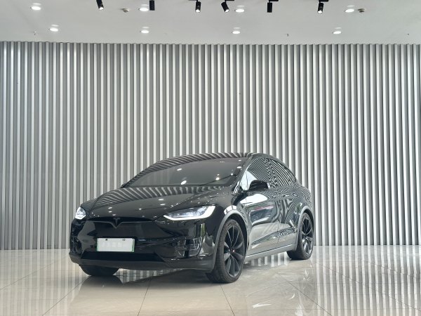 特斯拉 Model X  2019款 长续航版