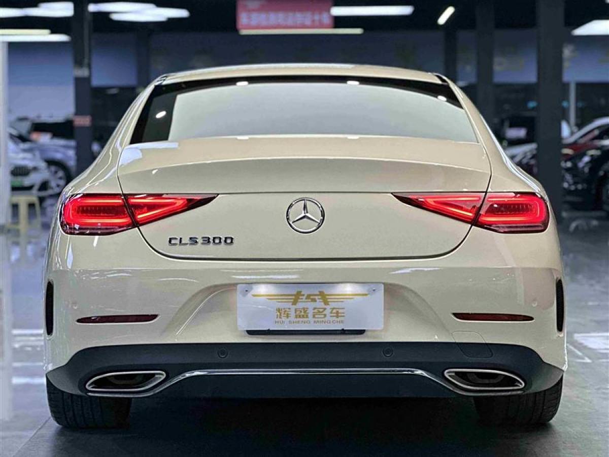 奔馳 奔馳CLS級  2018款 CLS 300 豪華型圖片