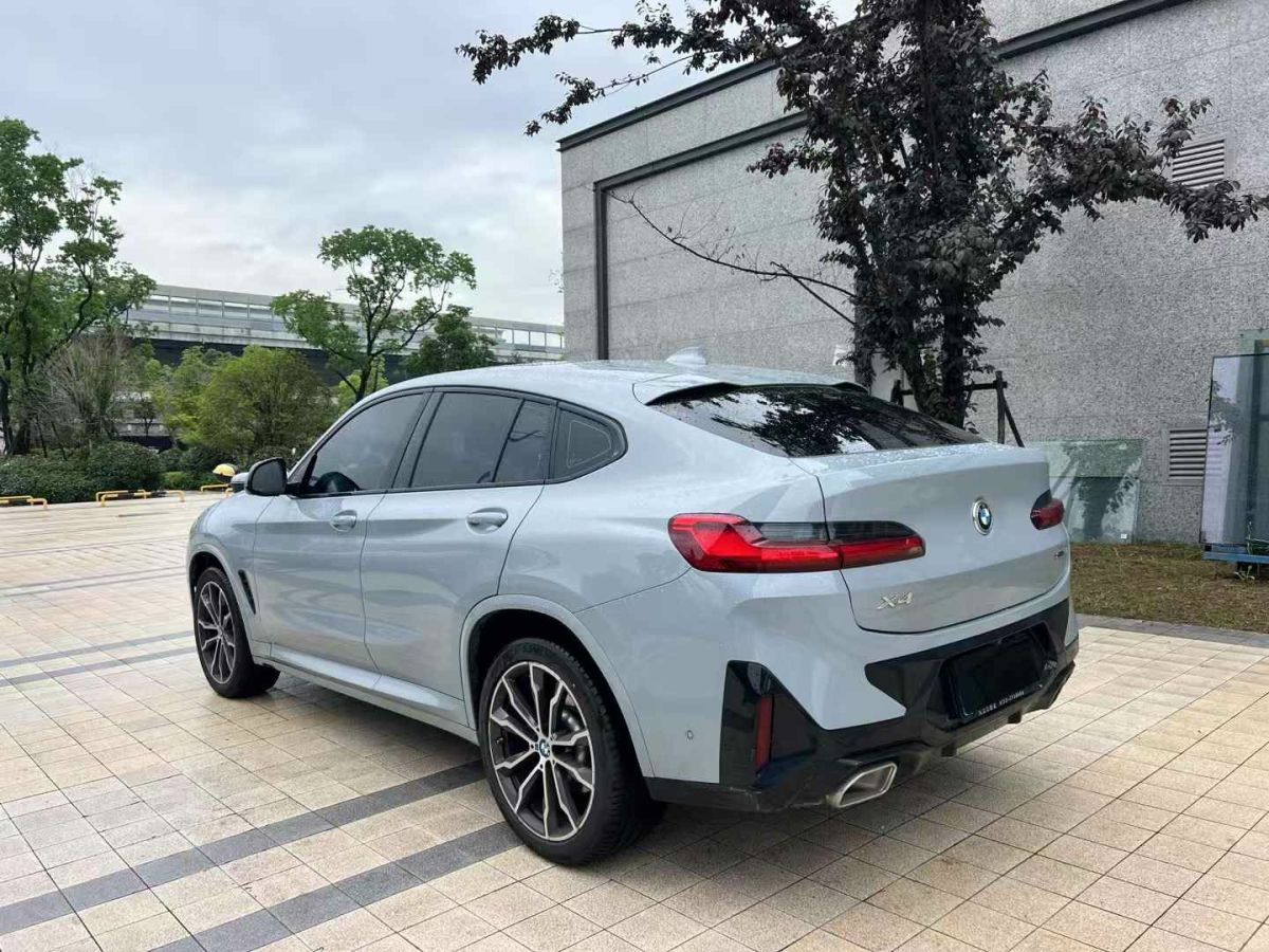 寶馬 寶馬X1  2024款 sDrive25Li X設(shè)計套裝圖片