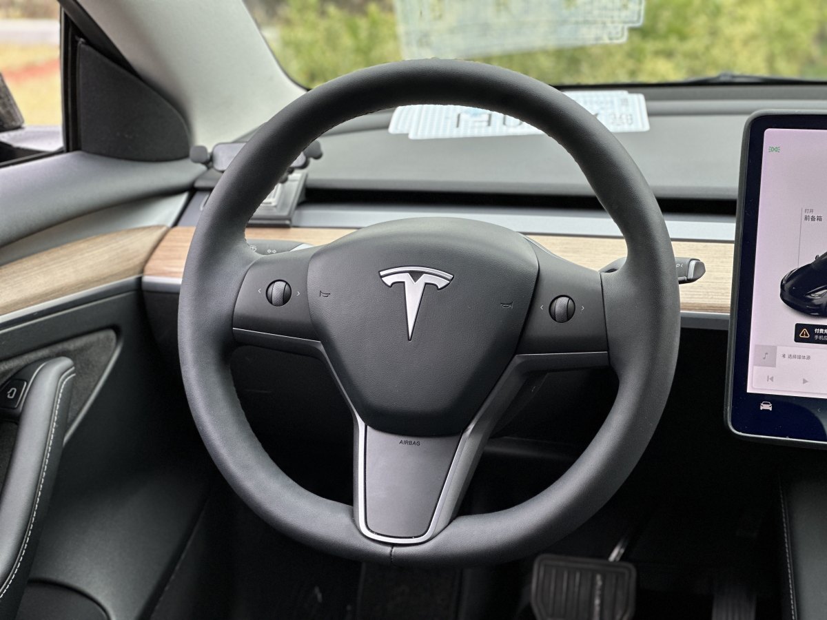 特斯拉 Model 3  2019款 標(biāo)準(zhǔn)續(xù)航后驅(qū)升級(jí)版圖片