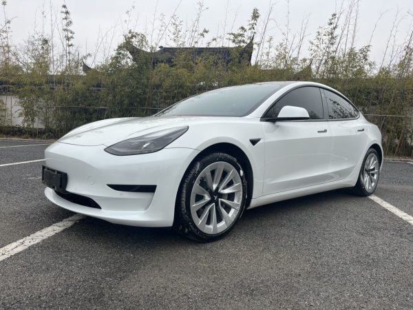 特斯拉 Model 3  2019款 标准续航后驱升级版