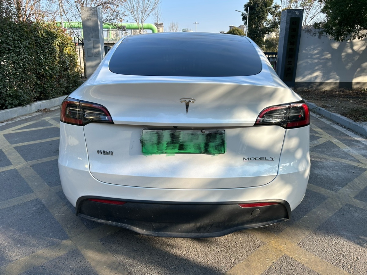 特斯拉 Model Y  2023款 高性能全輪驅(qū)動版圖片