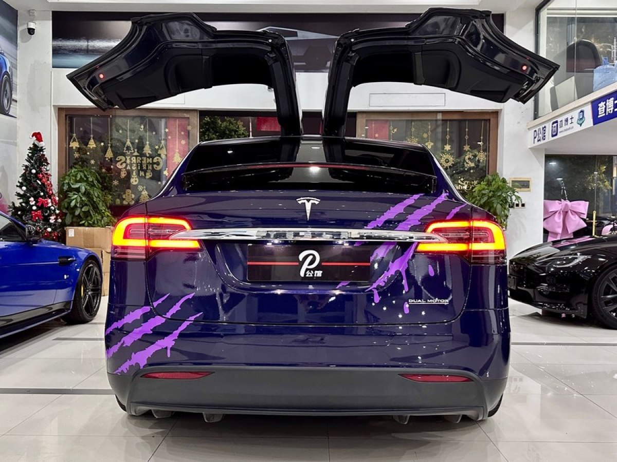 特斯拉 Model X  2020款 Performance 高性能版图片