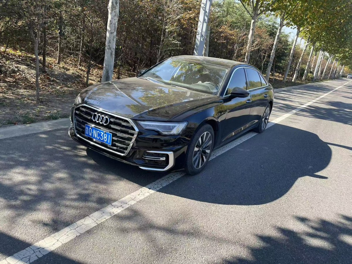 奧迪 奧迪A6L  2019款 45 TFSI 臻選致雅型圖片