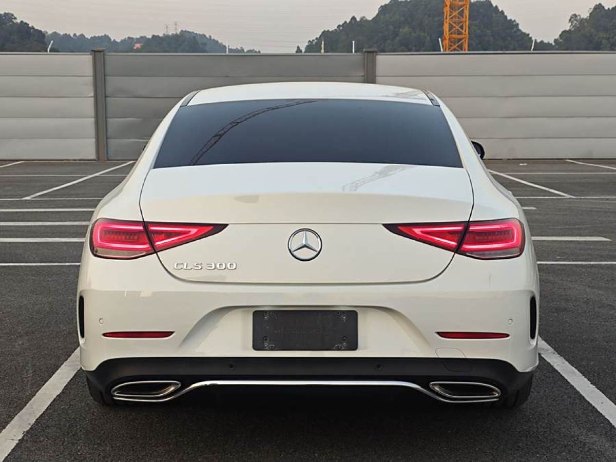 奔馳 奔馳CLS級(jí)  2018款 CLS 300 豪華型圖片