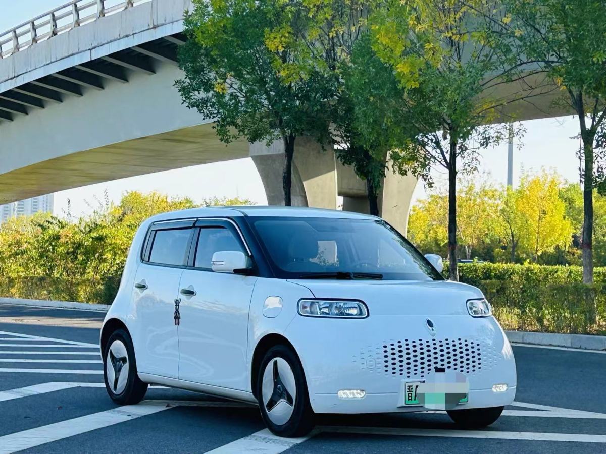 歐拉 歐拉白貓  2020款 360km 豪華型圖片