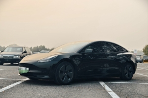 Model 3 特斯拉 改款 后轮驱动版