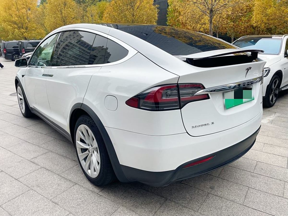 特斯拉 Model X  2017款 Model X 100D 長續(xù)航版圖片