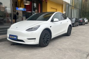 Model Y 特斯拉 改款 Performance高性能全轮驱动版