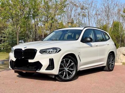 2023年11月 寶馬 寶馬X3 xDrive30i 領(lǐng)先型 M曜夜套裝圖片