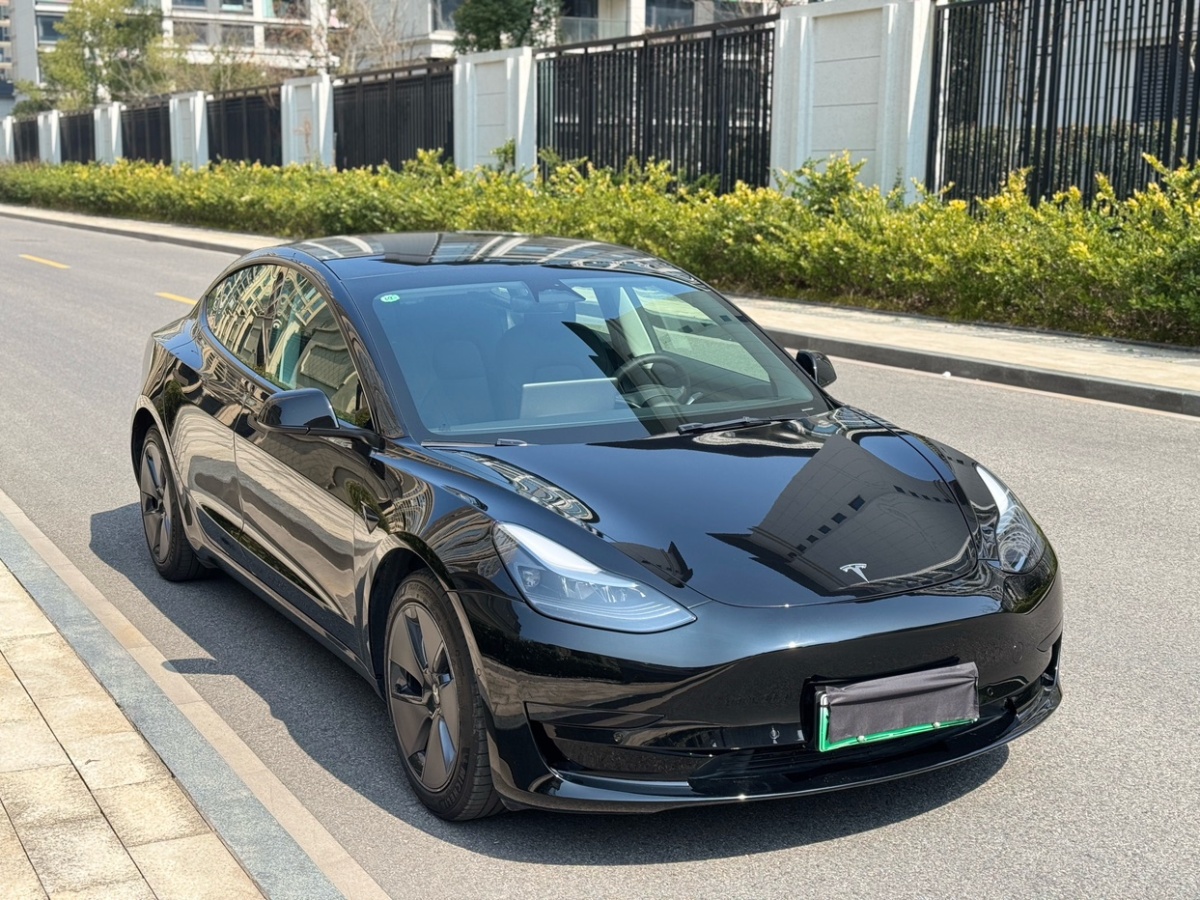 特斯拉 Model 3  2022款 后輪驅(qū)動版圖片