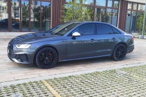 奧迪S4 奧迪 S4 3.0TFSI