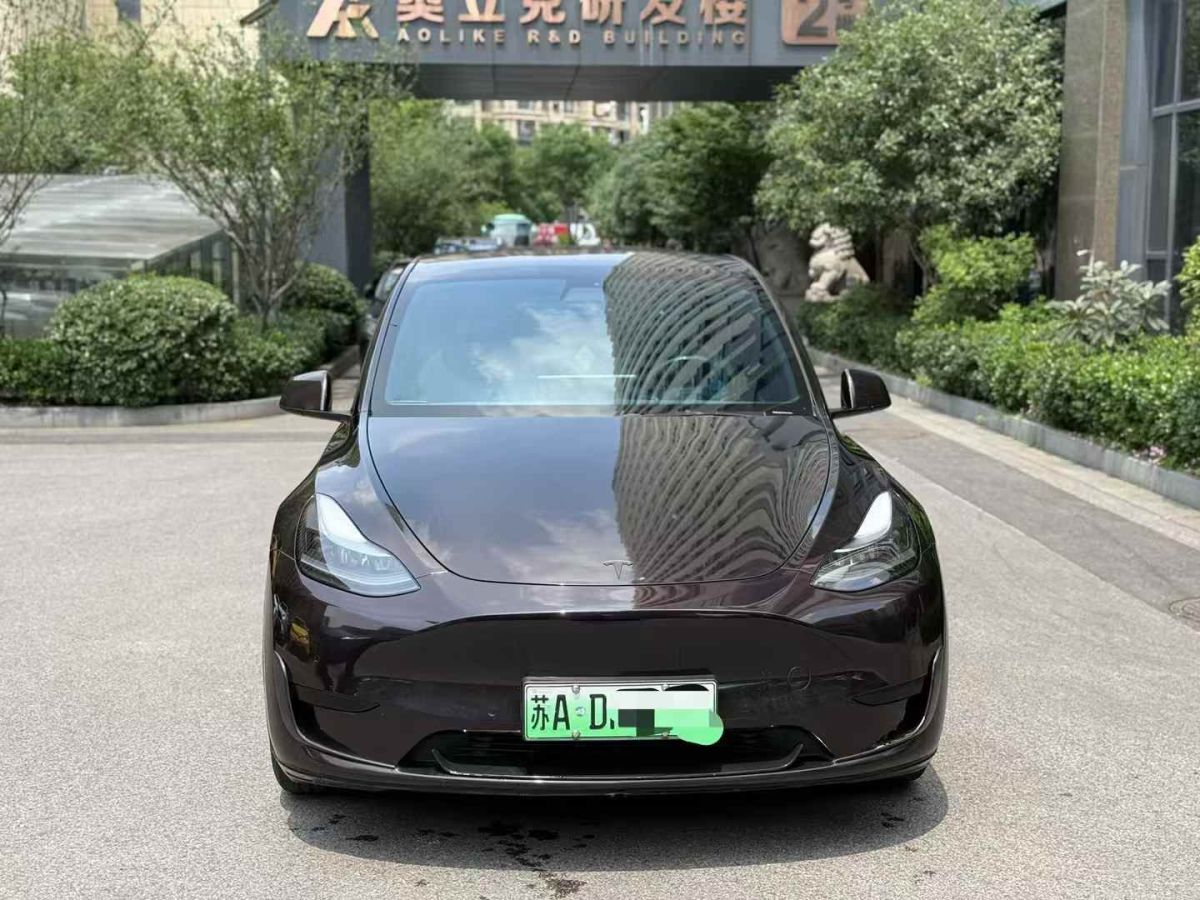 特斯拉 Model Y  2022款 Performance高性能全輪驅(qū)動版圖片