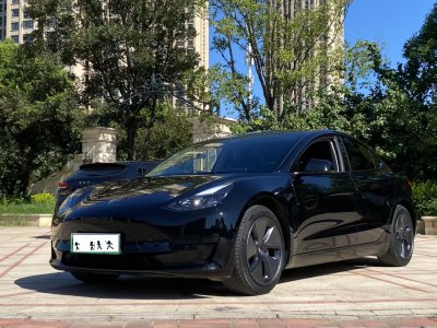 2020年12月 特斯拉 Model 3 改款 標(biāo)準(zhǔn)續(xù)航后驅(qū)升級版圖片