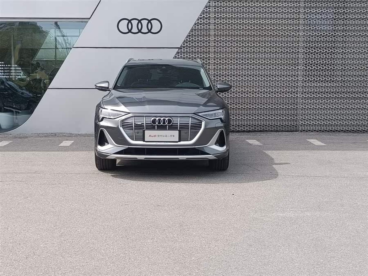 奧迪 奧迪e-tron  2021款 50 quattro 豪華型圖片